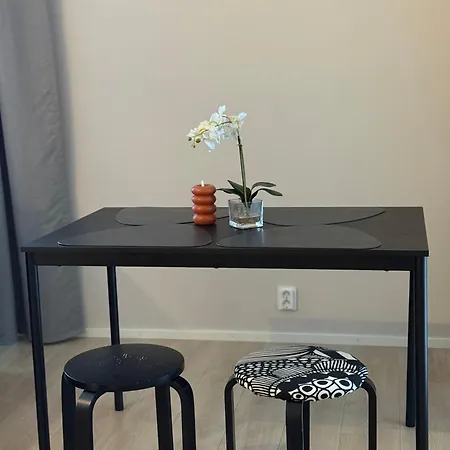 Koda Taiga South - Parking & View 罗瓦涅米